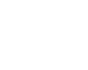 copy of sigla aniversară lsfetc30 albă 01